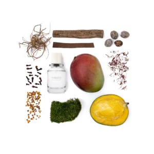 MAGIC MANGO - SAMPLE