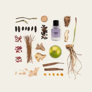 SAINT RÉMY - SAMPLE